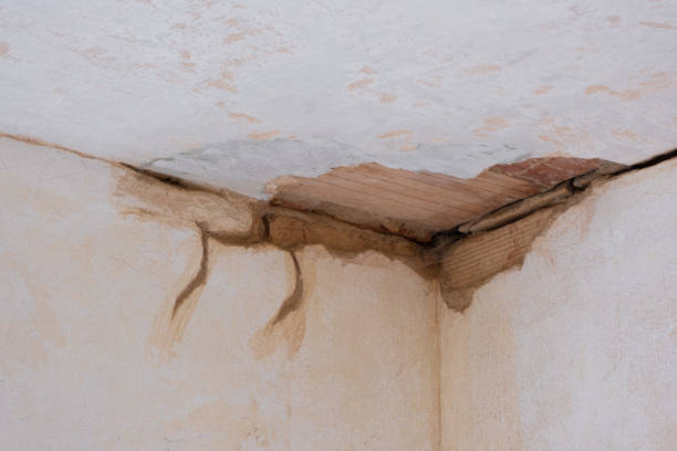 Best Fire Damage Restoration  in Haltom City, TX