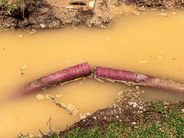 Trusted Haltom City, TX Water damage restoration Experts